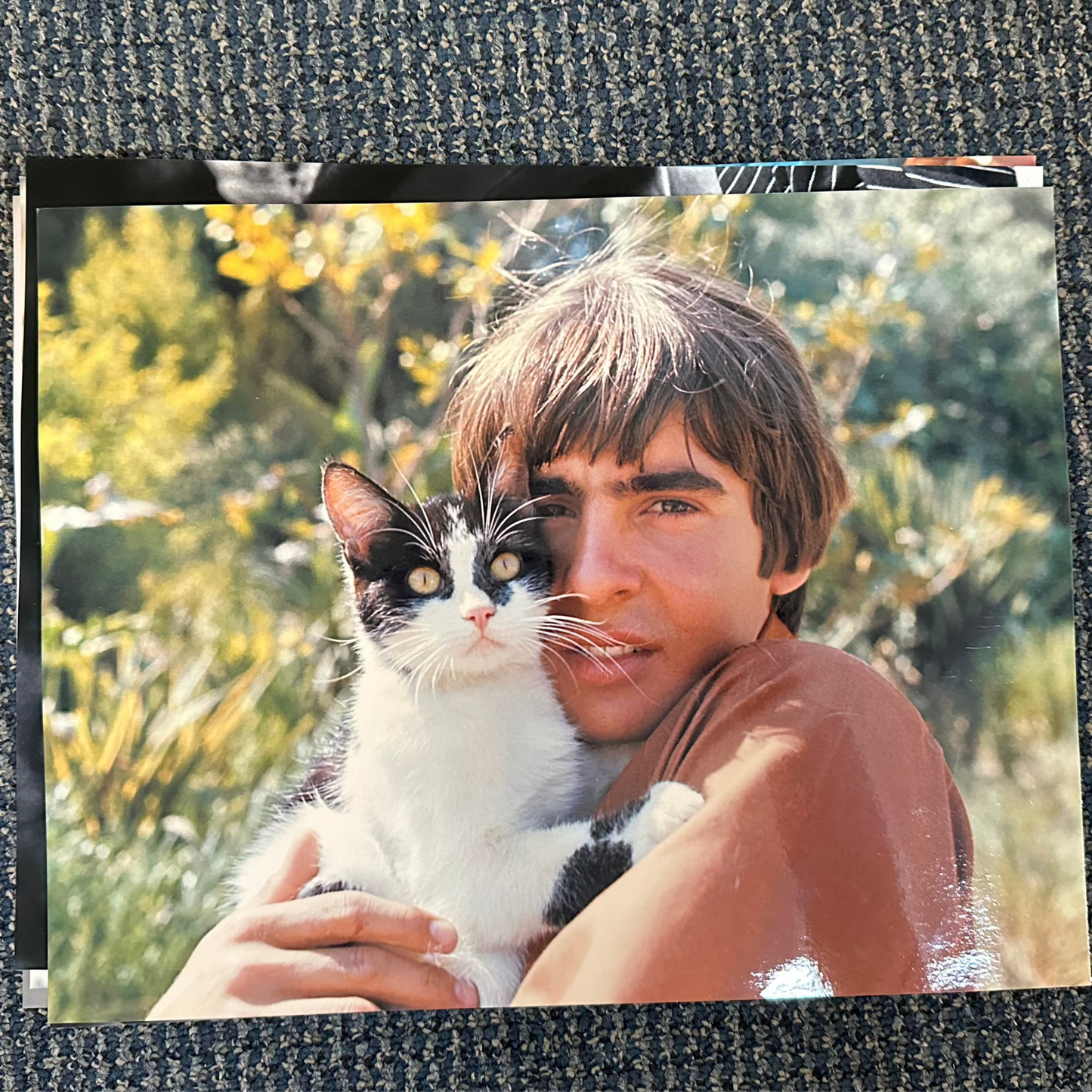 11x14 Monkees Photo Print: 1967 Davy Jones Marooned with Cat